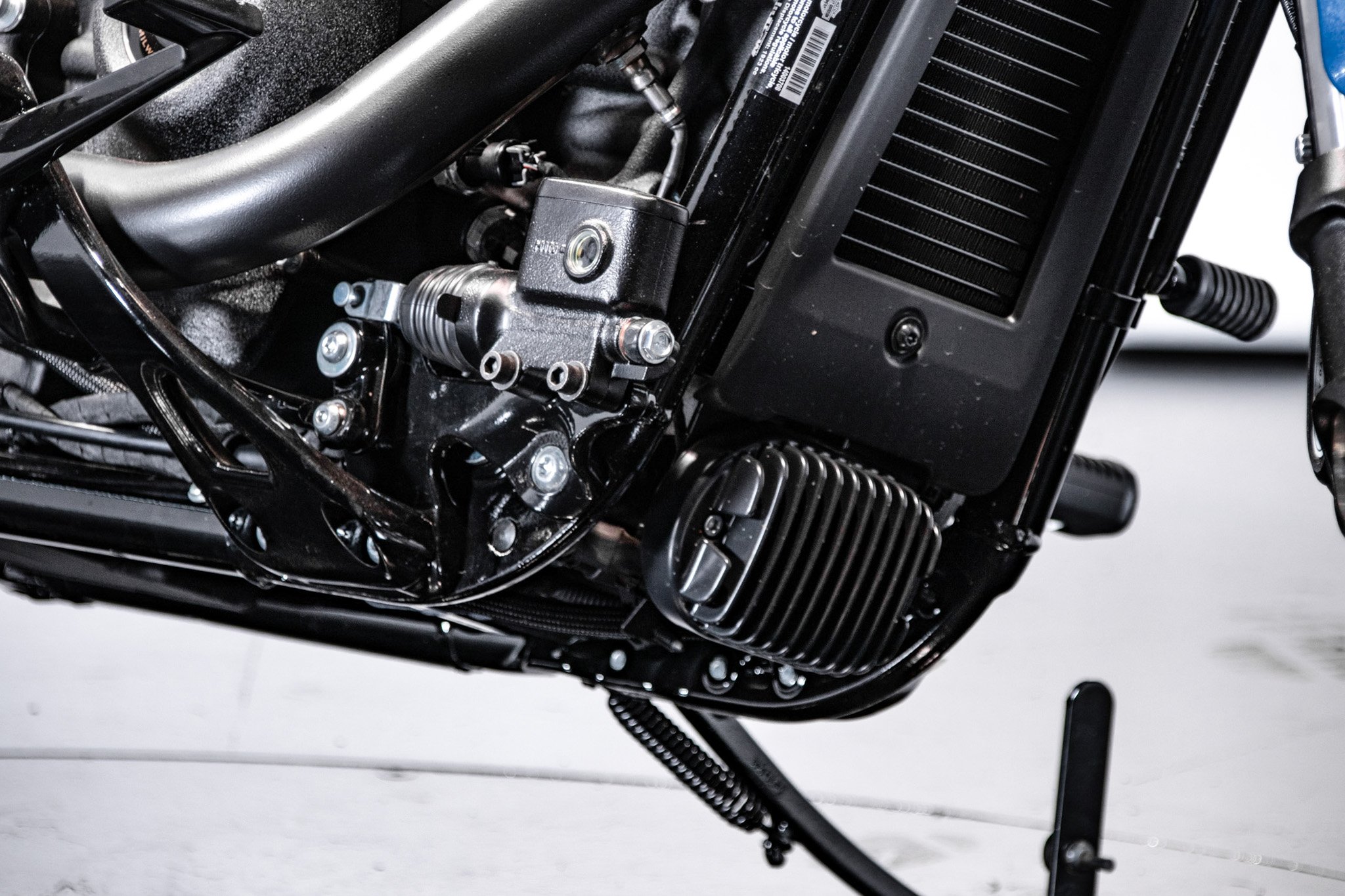 Harley Davidson Low Rider ST - Fast Johnnie 