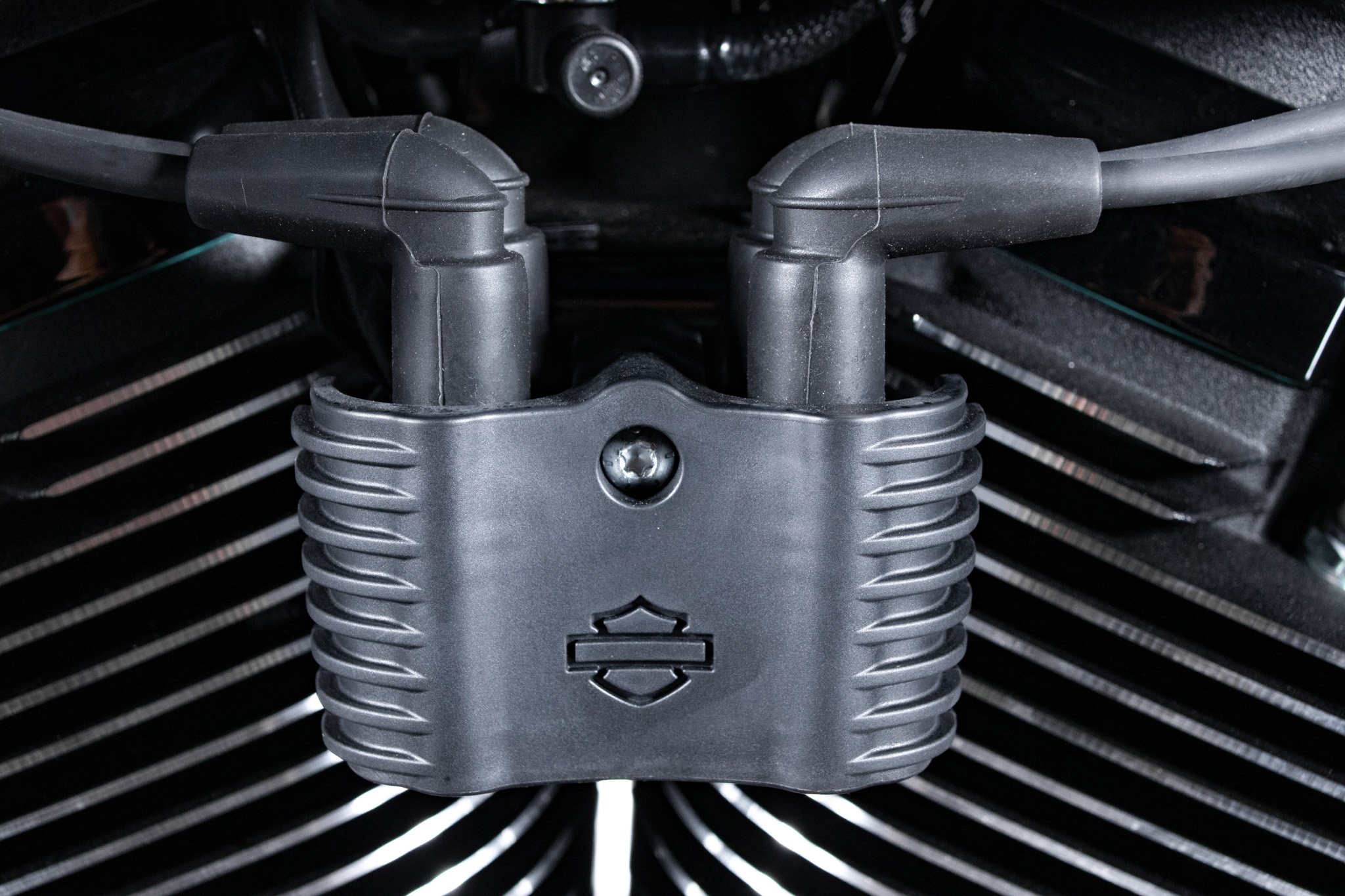 Harley Davidson Low Rider ST - Fast Johnnie 