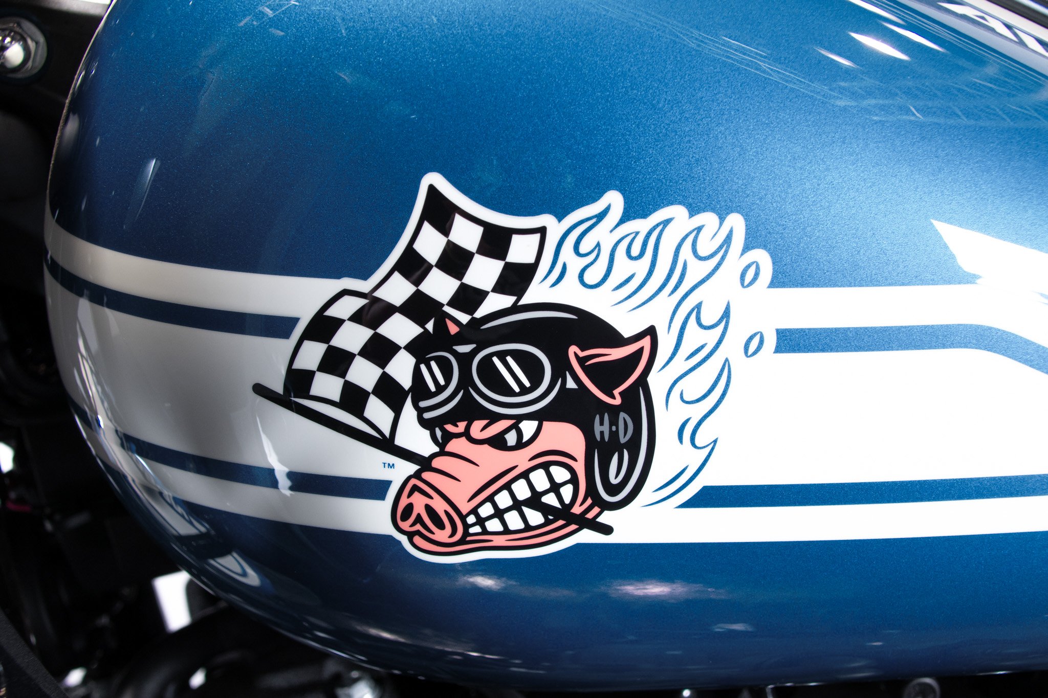 Harley Davidson Low Rider ST - Fast Johnnie 
