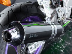 Kawasaki ZX-7RR 